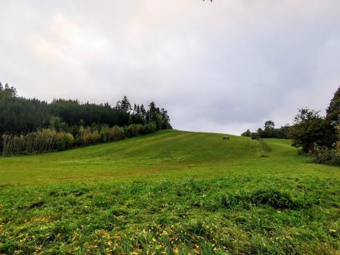 Fotografie Dlouhá Třebová