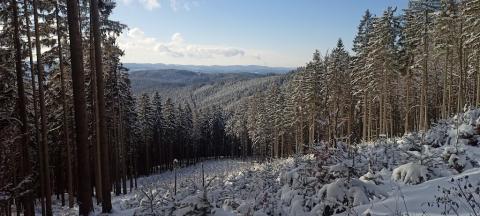 Fotografie Velké Karlovice