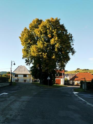 Fotografie Hrádek u Sušice