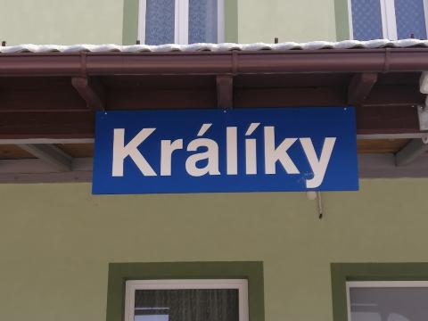 Fotografie Králíky