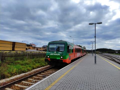 Fotografie Černá v Pošumaví