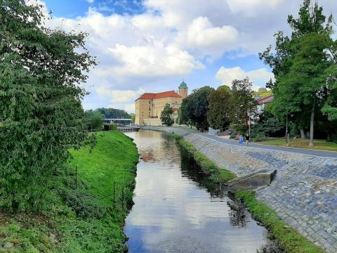 Fotografie Poděbrady