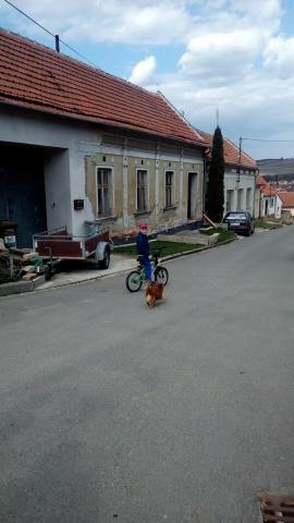 Fotografie Nesovice