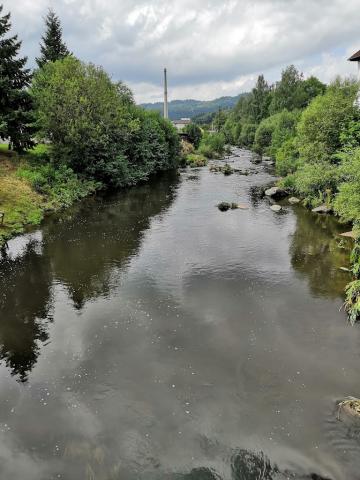 Fotografie Lipno nad Vltavou